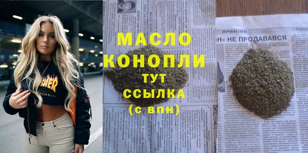 mdpv Бородино