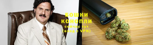 mdpv Бородино