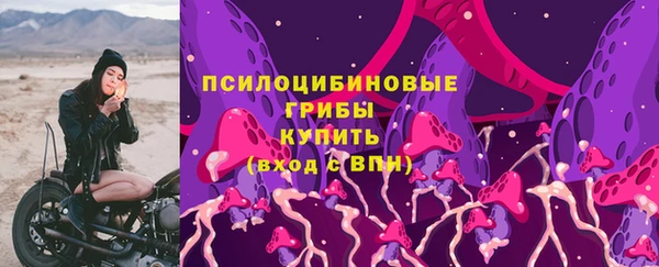 а пвп мука Бугульма