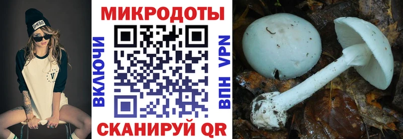 Галлюциногенные грибы Cubensis  Купить  Волжск 